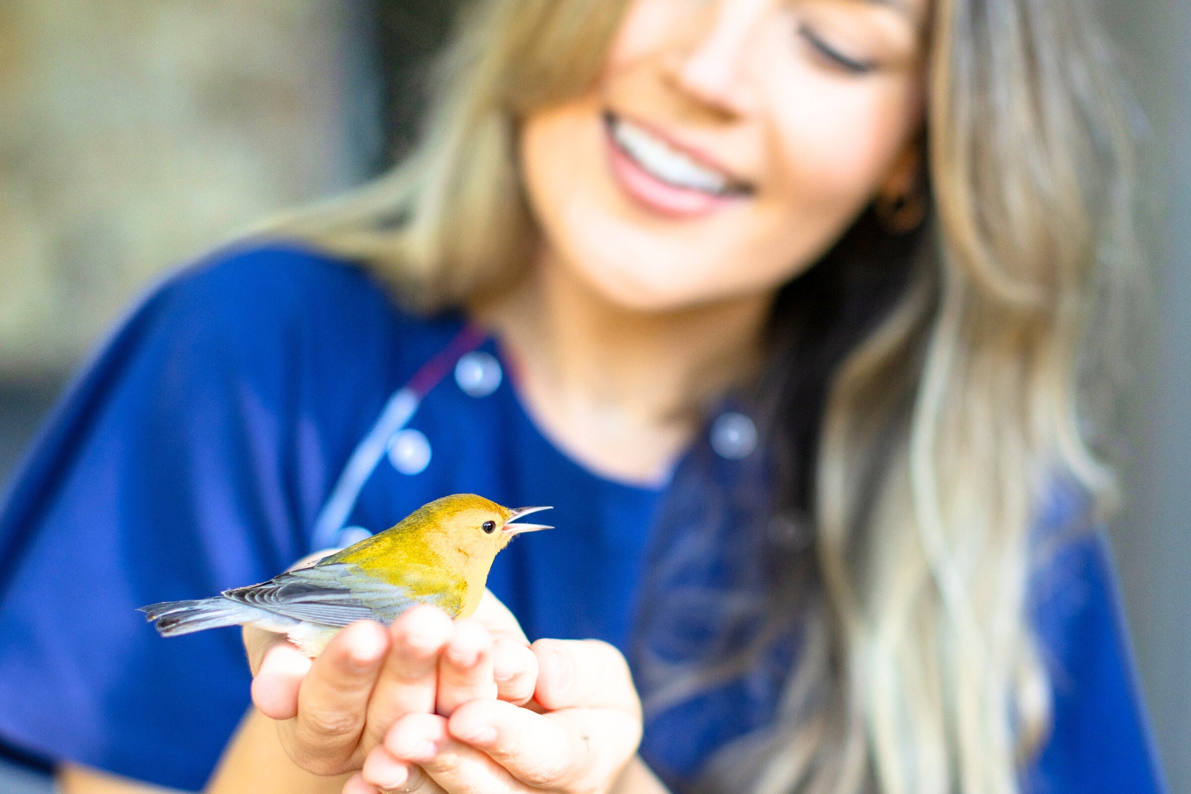 Medical Gown for Women (Navy)